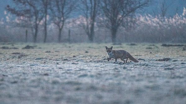 Foto: Benjamin van der Spek