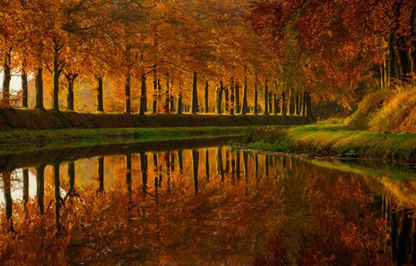 Martin Podt