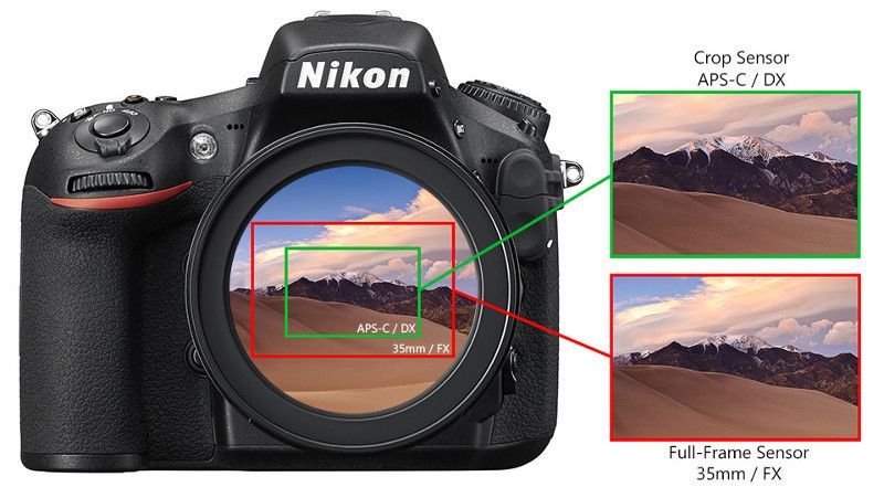 Het verschil tussen Nikon en DX-formaat sensors | digifoto Starter