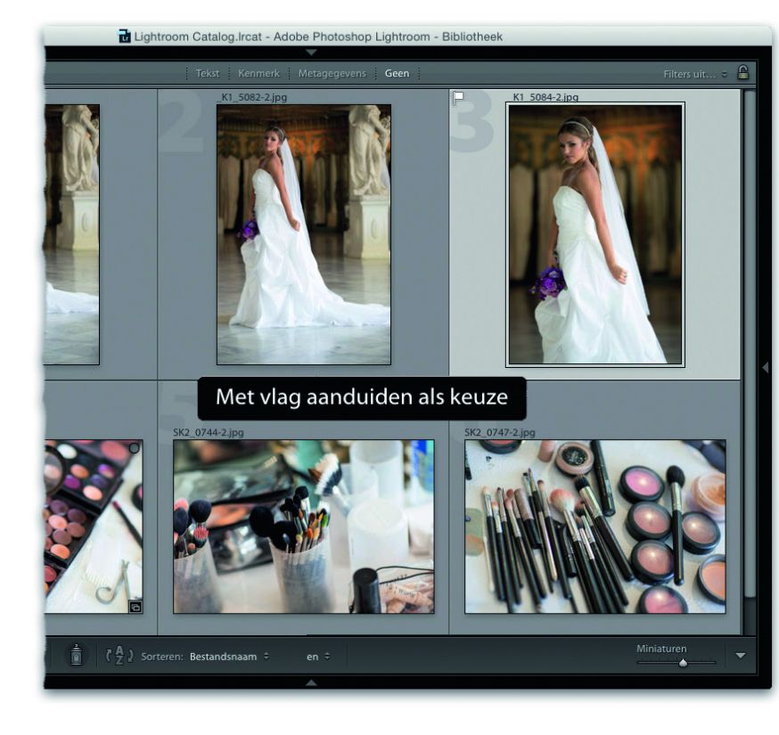Basiscursus Verzamelingen in Adobe Lightroom