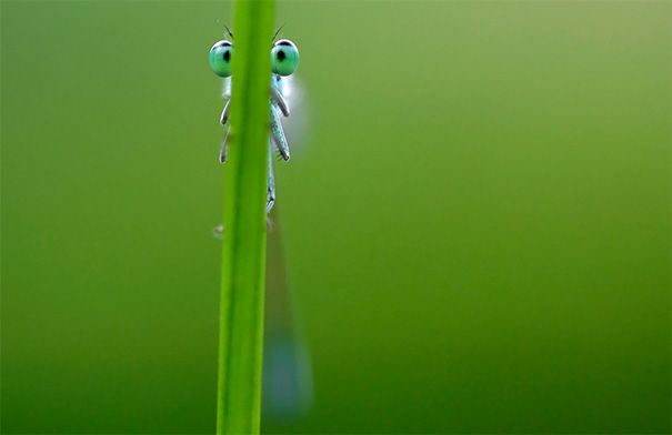 perfectly timed photos