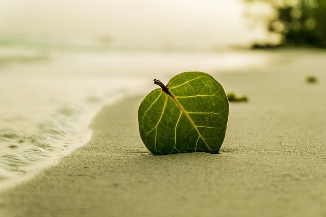 strand, zomer, zee