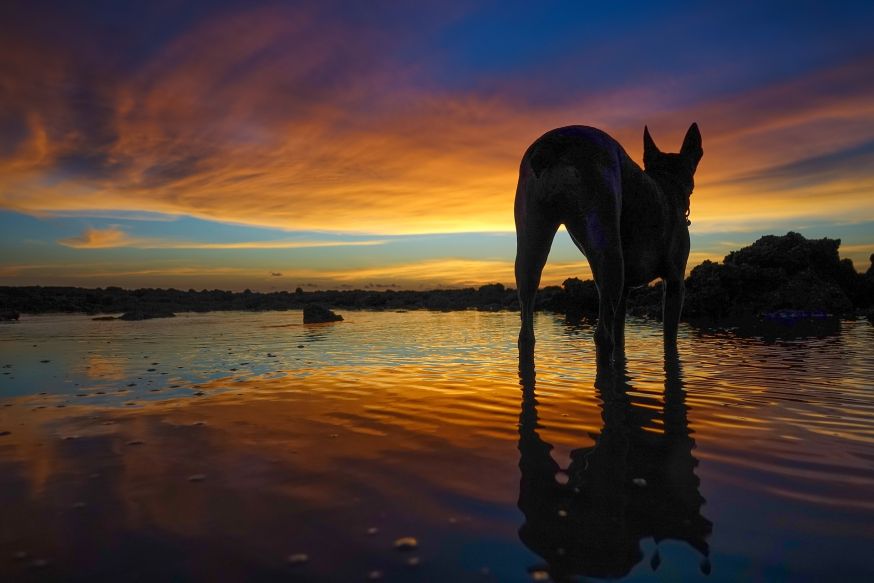 Zonsondergang aan het strand