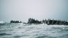 Surfen in ijswater met de Nikon Z7