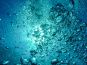 Inspiratie: Prachtige videobeelden van de onderwaterwereld