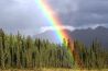 Leg het vast: de regenboog